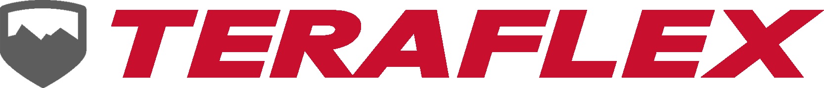 TERAFLEX logo