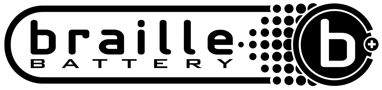 Braille Auto Battery